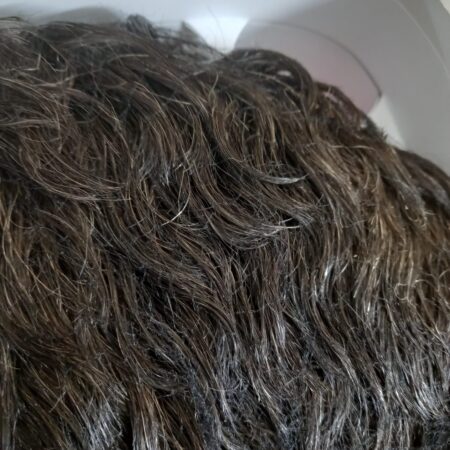 Viva fox H22 v human hair