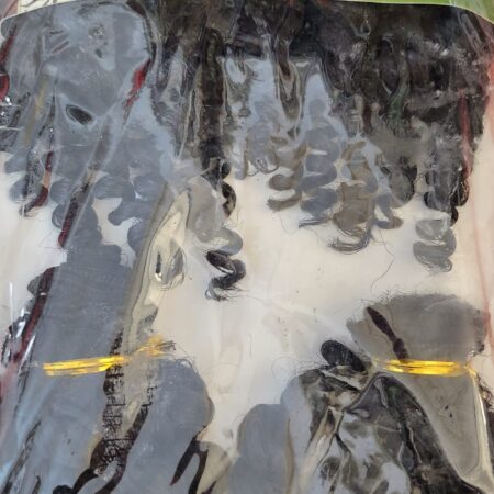 Nectar sexy curl ombre 1/27